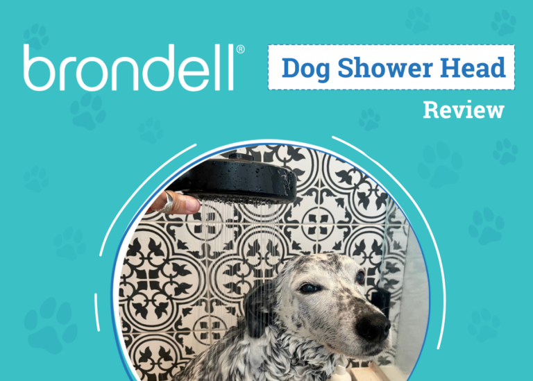 Brondell Nebia Merced Handheld Showerhead Review 2024: Our
Expert’s Opinion