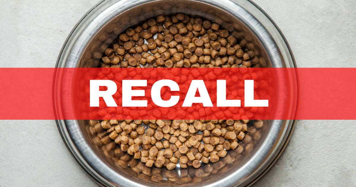 Dog Food Recalled Over Metal Contamination Fears